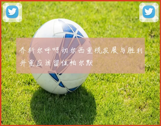 乔科尔呼吁切尔西重视发展与胜利并重应该留住帕尔默
